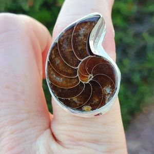 New Men's Ammolite 925 Silver Ring.